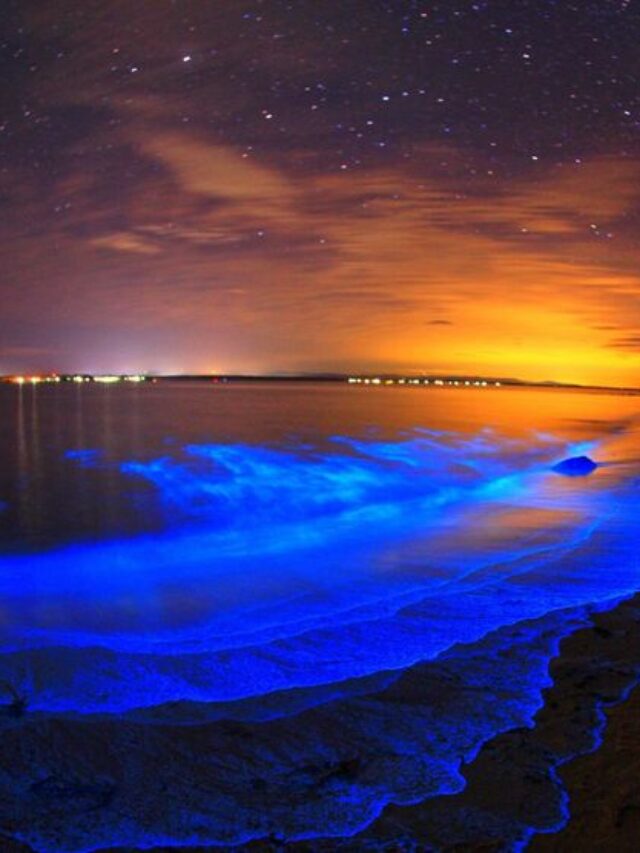 gippsland lake at night