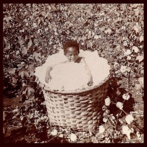 Cotton Picking Childhood
