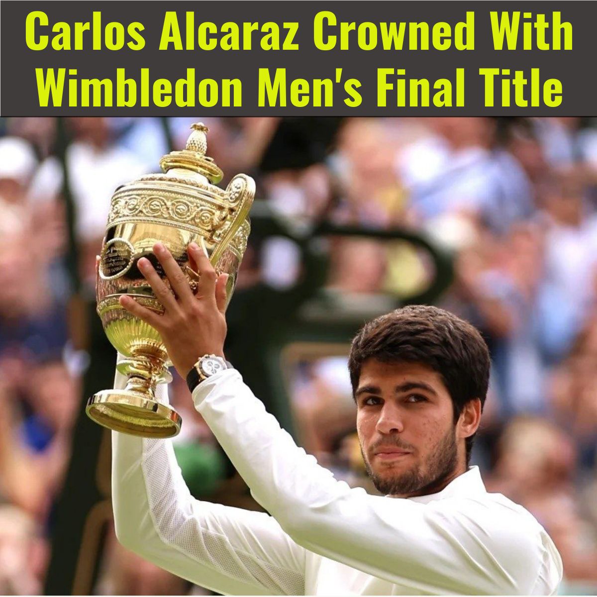 wimbledon men's final