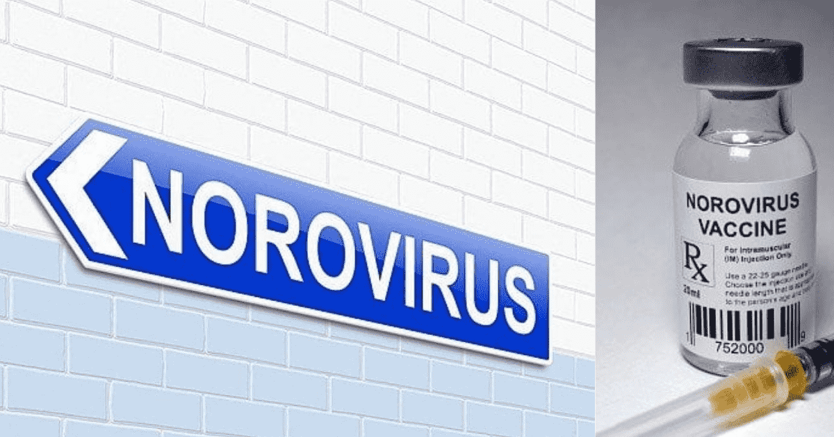 norovirus vaccine